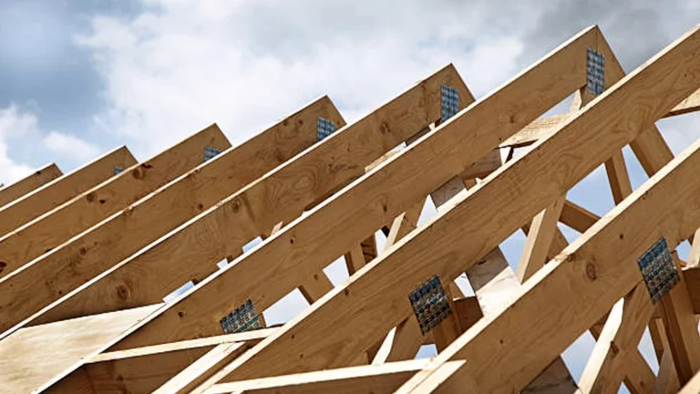 Clips vs Straps Which Wind Mitigation Upgrade Is Best for Your Home